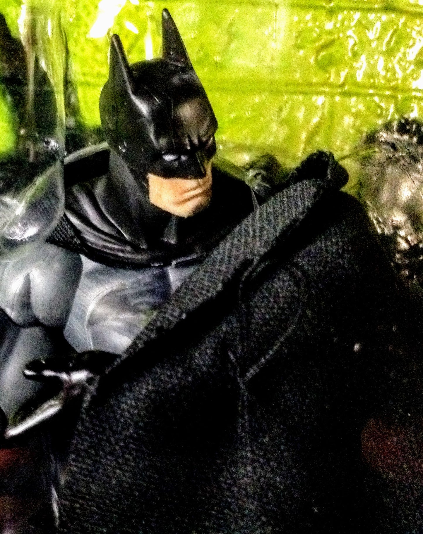 Toys "R" Us Exclusive: Batman & Robin