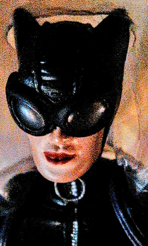 DC SuperHeroes Catwoman